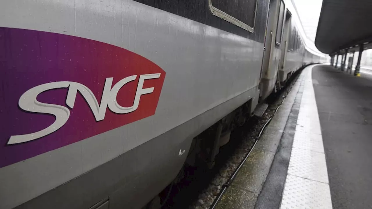 Auvergne Rhône-Alpes: la circulation des trains interrompue entre Givors et Saint-Étienne après un...