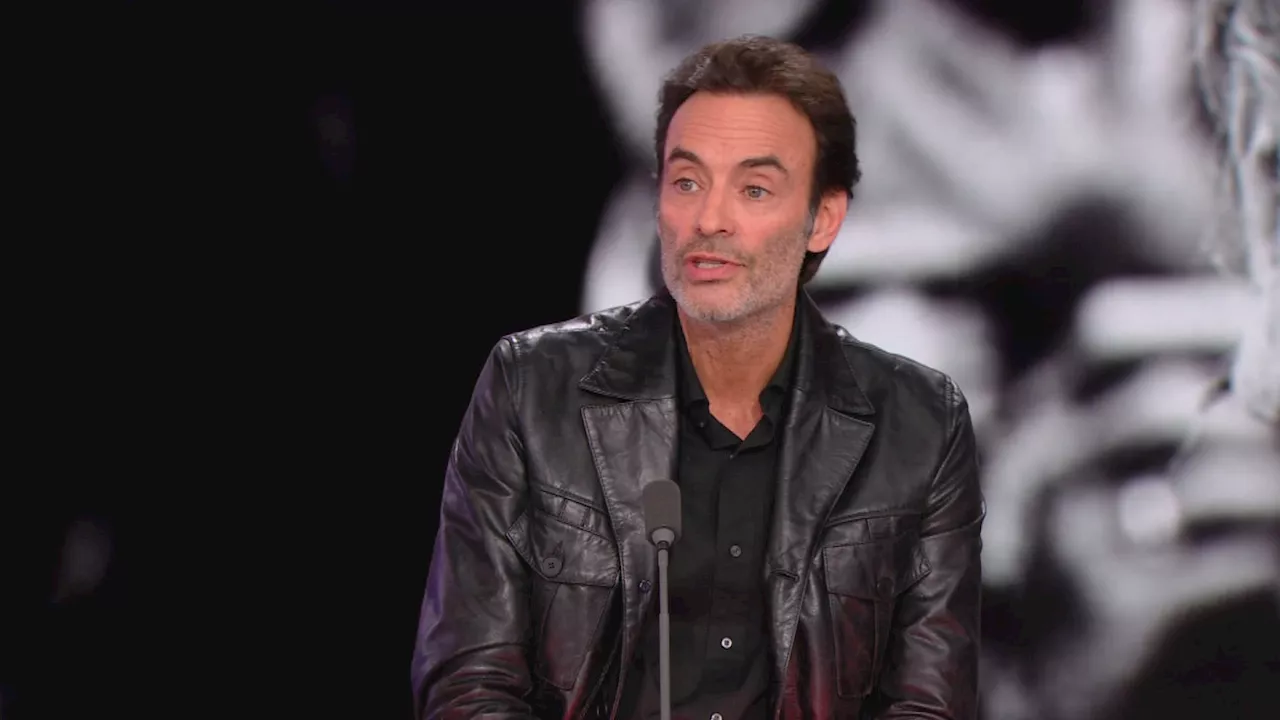 Lyon: Anthony Delon invité pour la clôture de l'édition 2024 du Festival Lumière