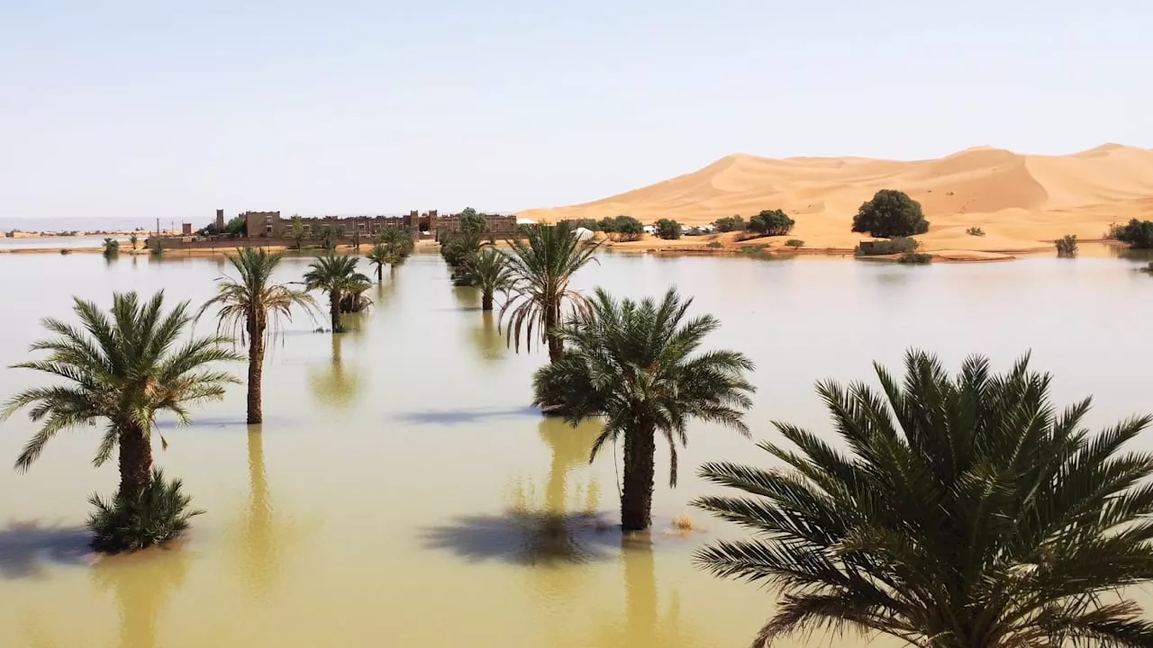 Nach heftigen Regenfällen: Teile der Sahara versinken im Hochwasser