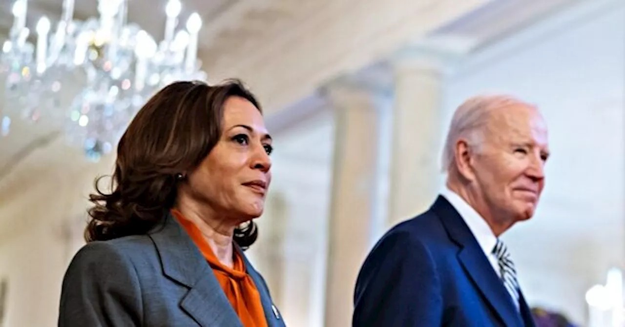 Harris on Bypassing Primary Process: I Was ‘Elected’, Biden ‘Put Country Before Self’