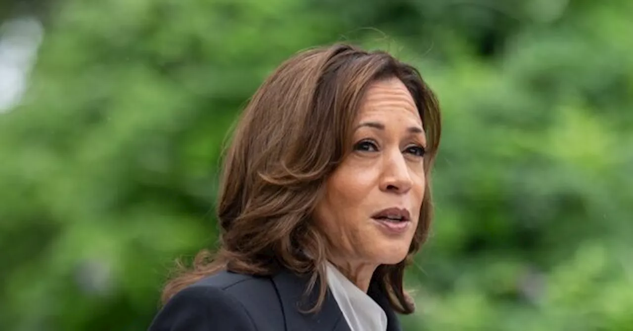 Nolte: JD Vance’s Debate Win Erases Kamala’s 4-Point National Lead