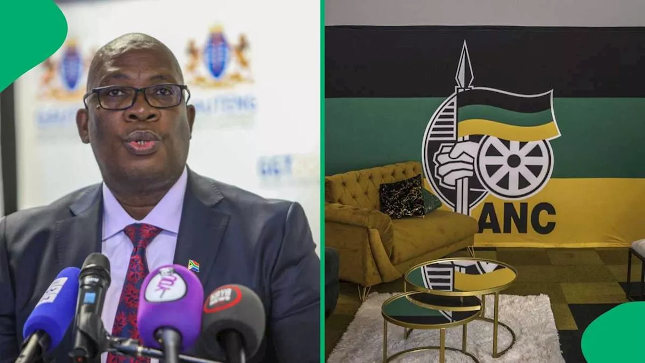 SA Reacts to ANC Summoning Panyaza Lesufi for Anti-GNU Remarks