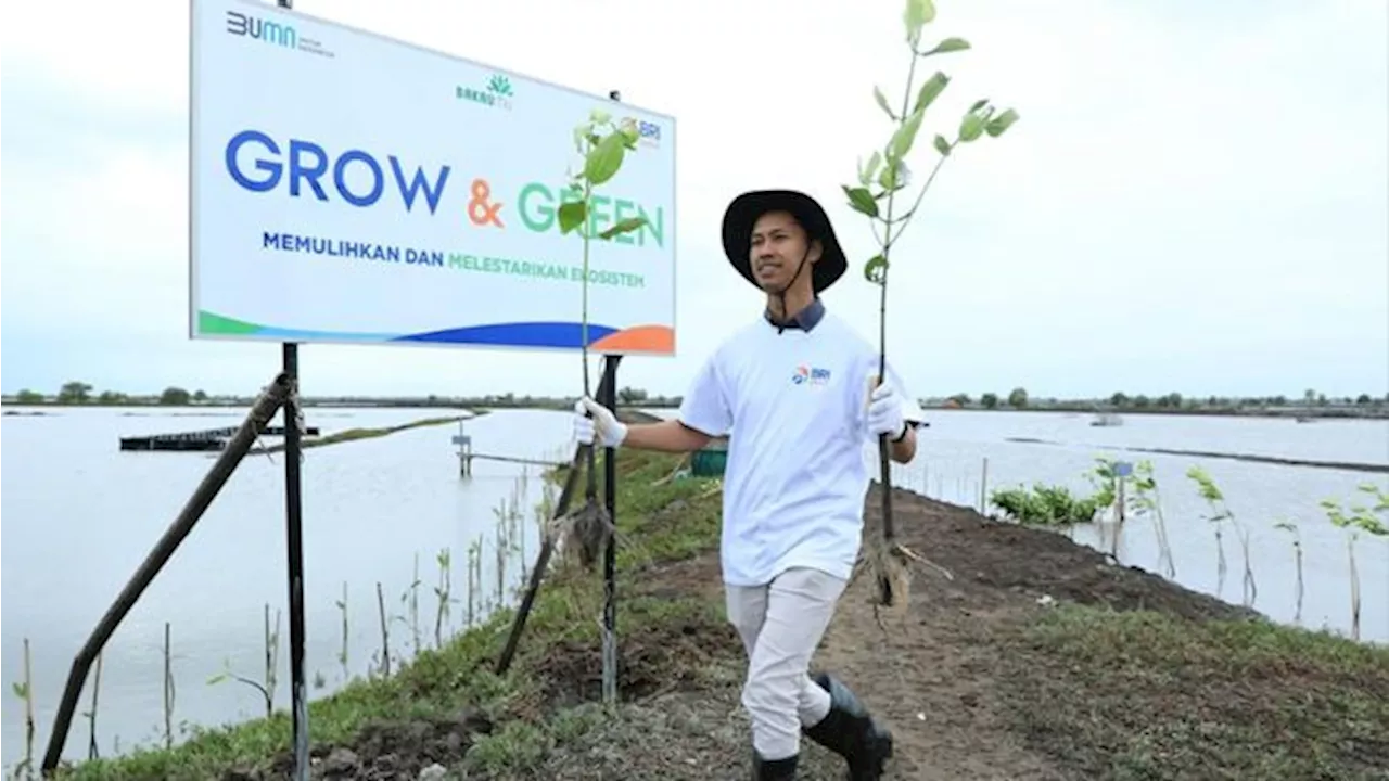 Upaya Nyata BRI Menjaga Bumi Tetap Hijau Lewat Grow & Green