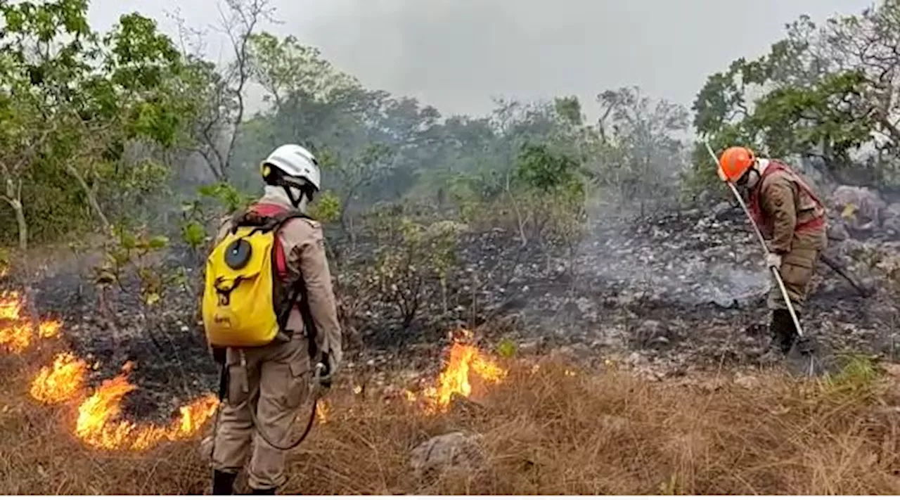 Parque Nacional da Chapada dos Veadeiros reabre após incêndios florestais