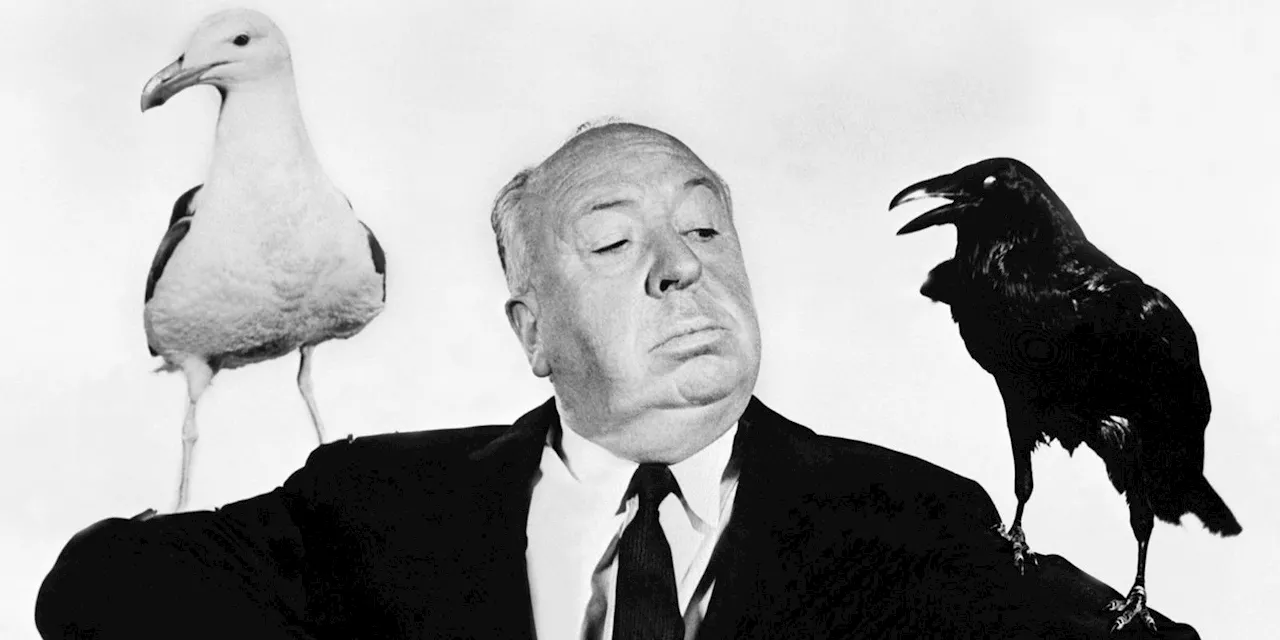 Alfred Hitchcock’s Genre-Breaking Creature Feature Just Swooped onto Netflix