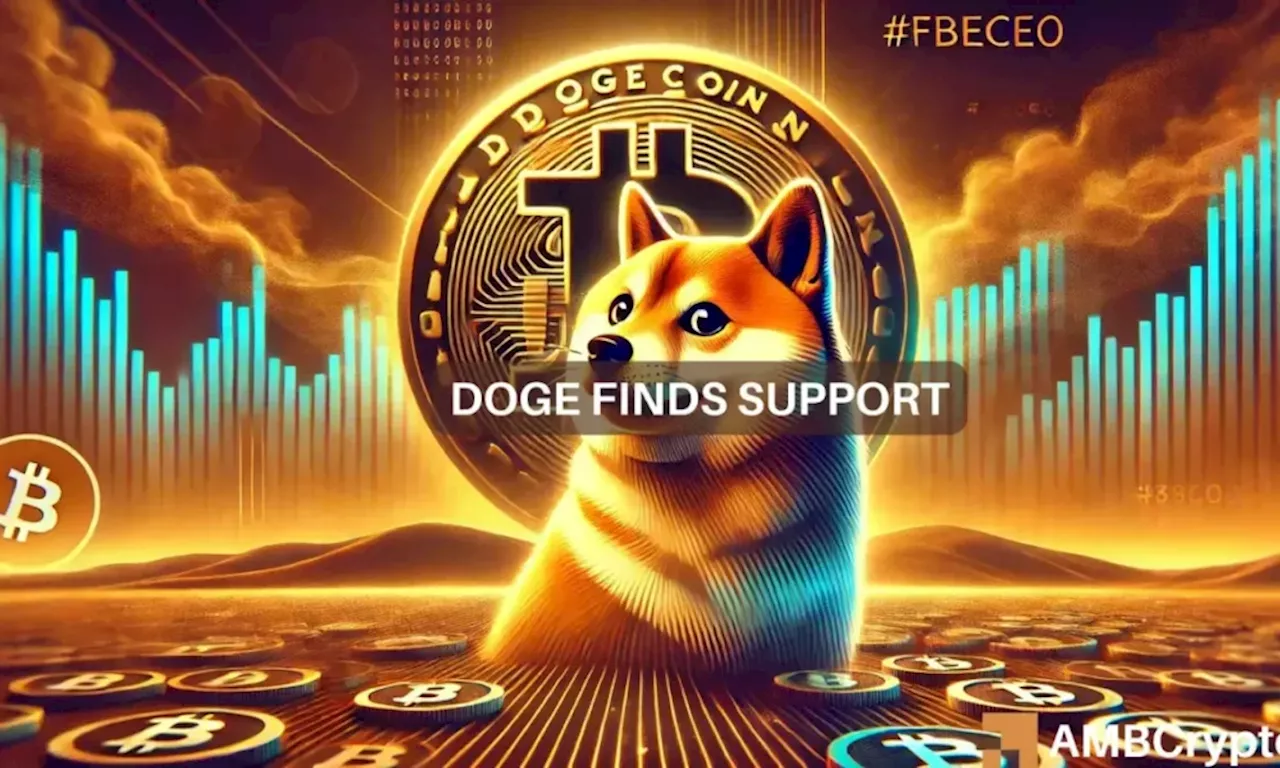 Dogecoin whales add 2B tokens, but DOGE still dips