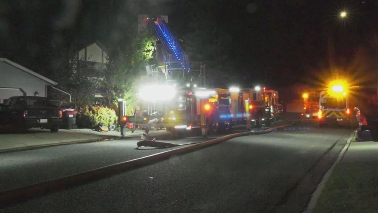 Deer Ridge home destroyed in fire, 2 cats killed