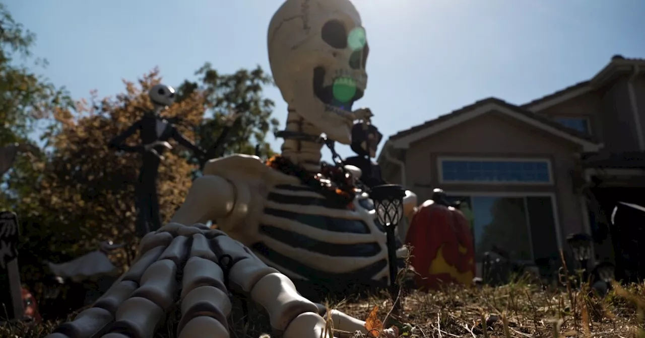 Heartfelt Halloween display: The story behind Skeletons for St. Jude