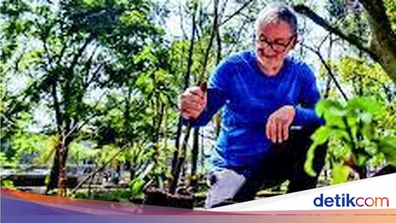 Pernah Dianggap Gila Pensiun Bikin Hutan di Tengah Kota, Helio Kini Dipuji