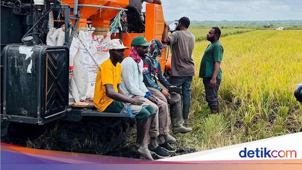 Sektor Pertanian RI Disebut Kian Menjanjikan, Ini Buktinya