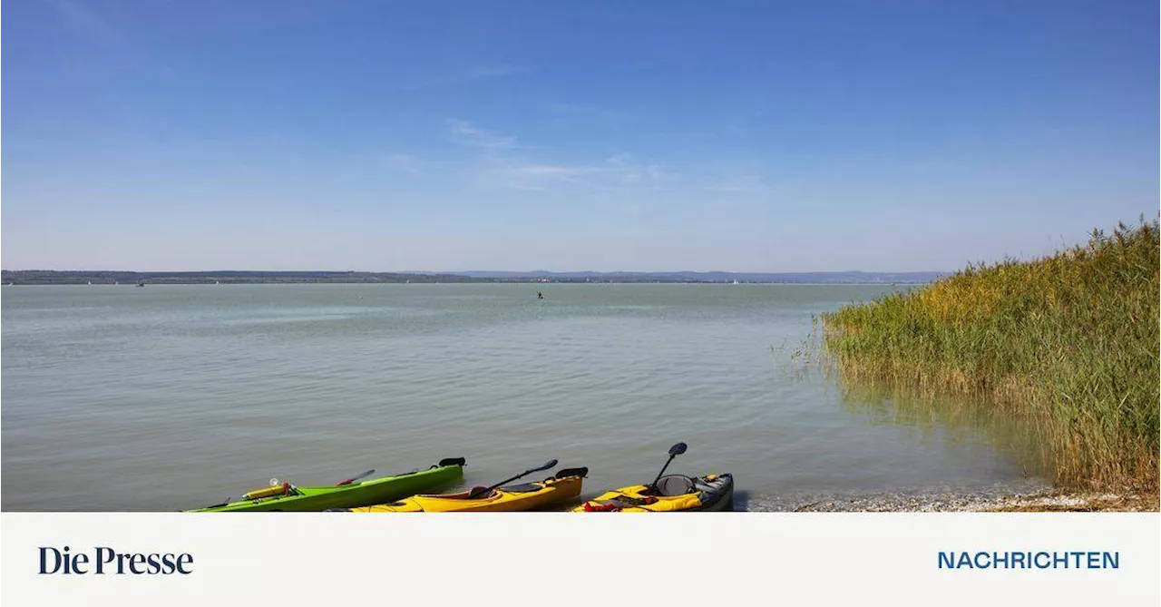 Bagger schaufeln wieder Schlamm aus dem Neusiedler See