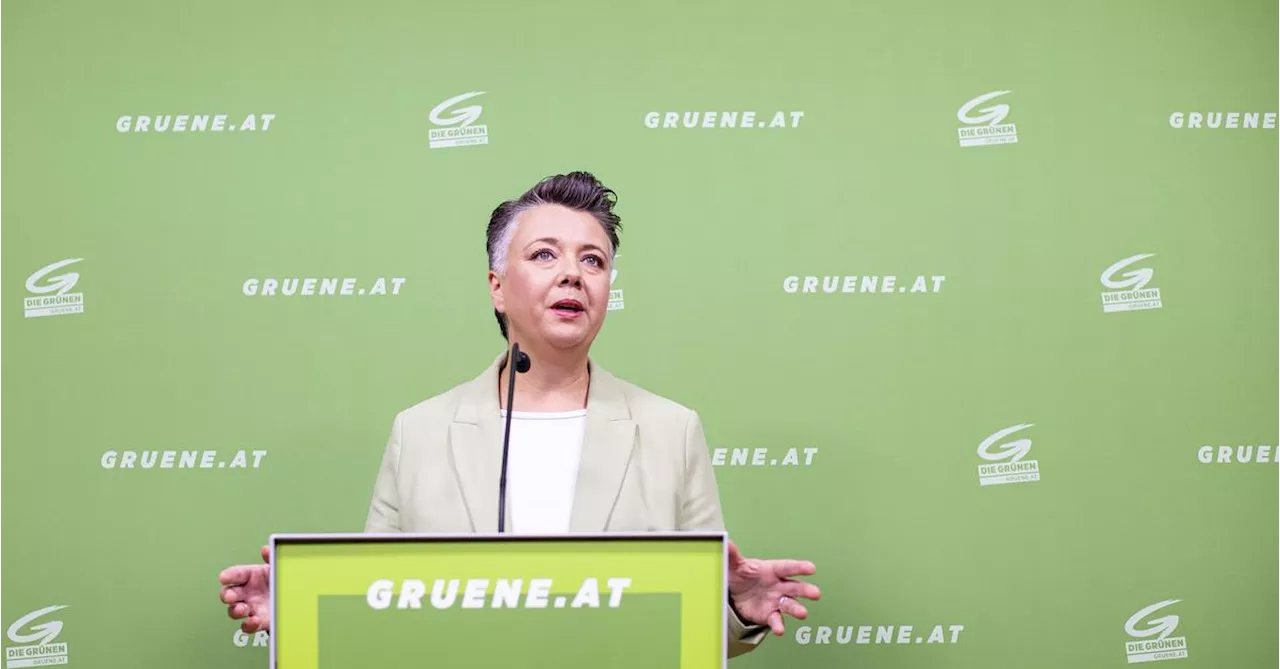 Grüne Generalsekretärin muss wegen Hitlergruß-Vorwurf gegen Sellner zurücktreten