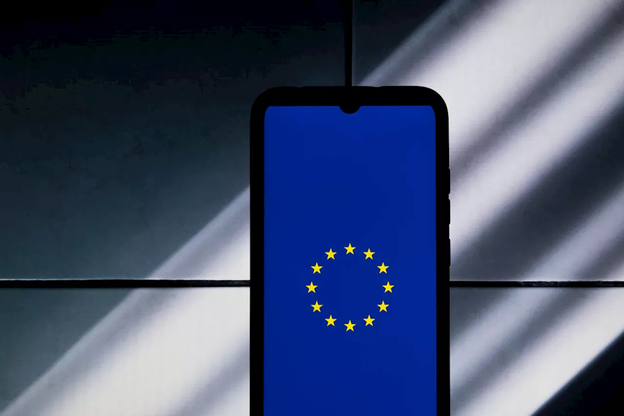 EU residents will have a new way to dispute content moderation decisions by Facebook, YouTube and TikTok