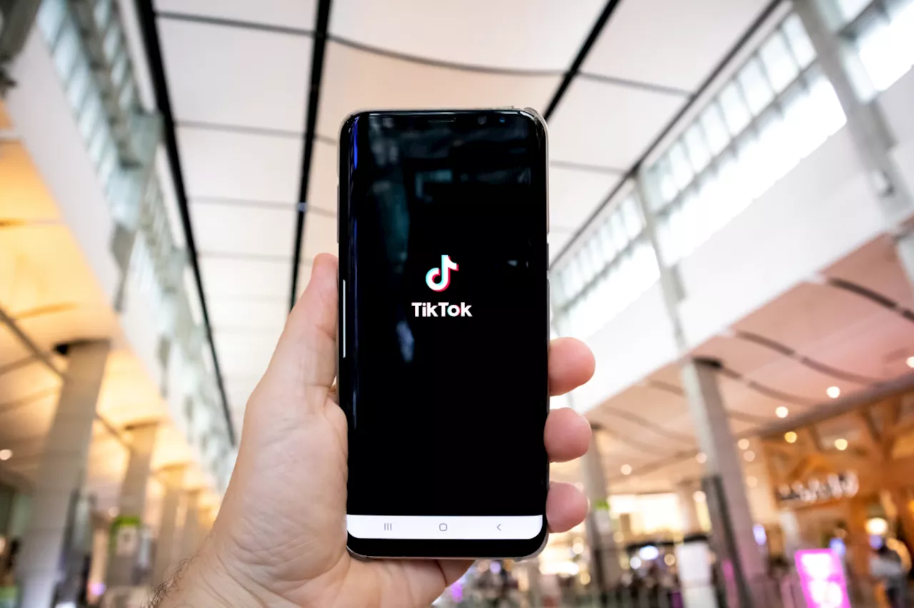 More than a dozen states sue TikTok, alleging that it’s designed to addict kids