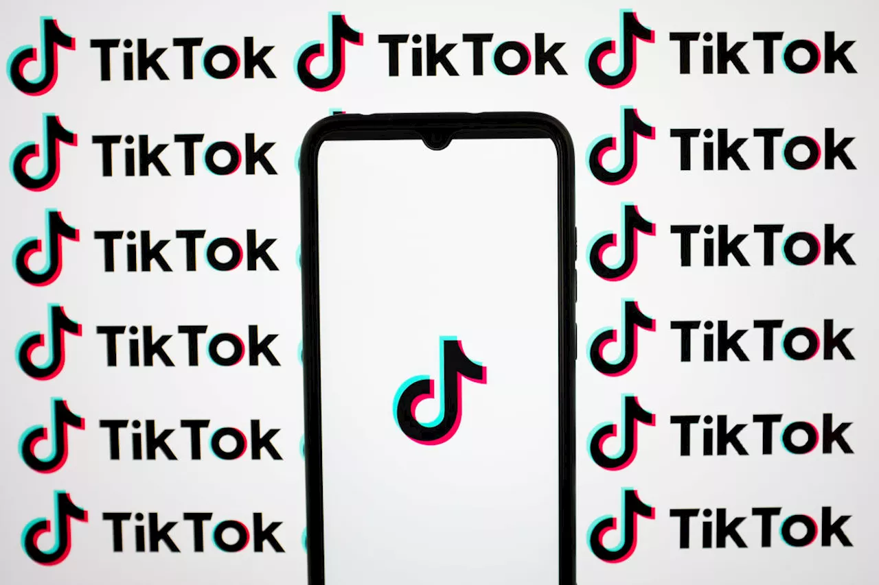 Most US TikTok users aren’t following political accounts, study says