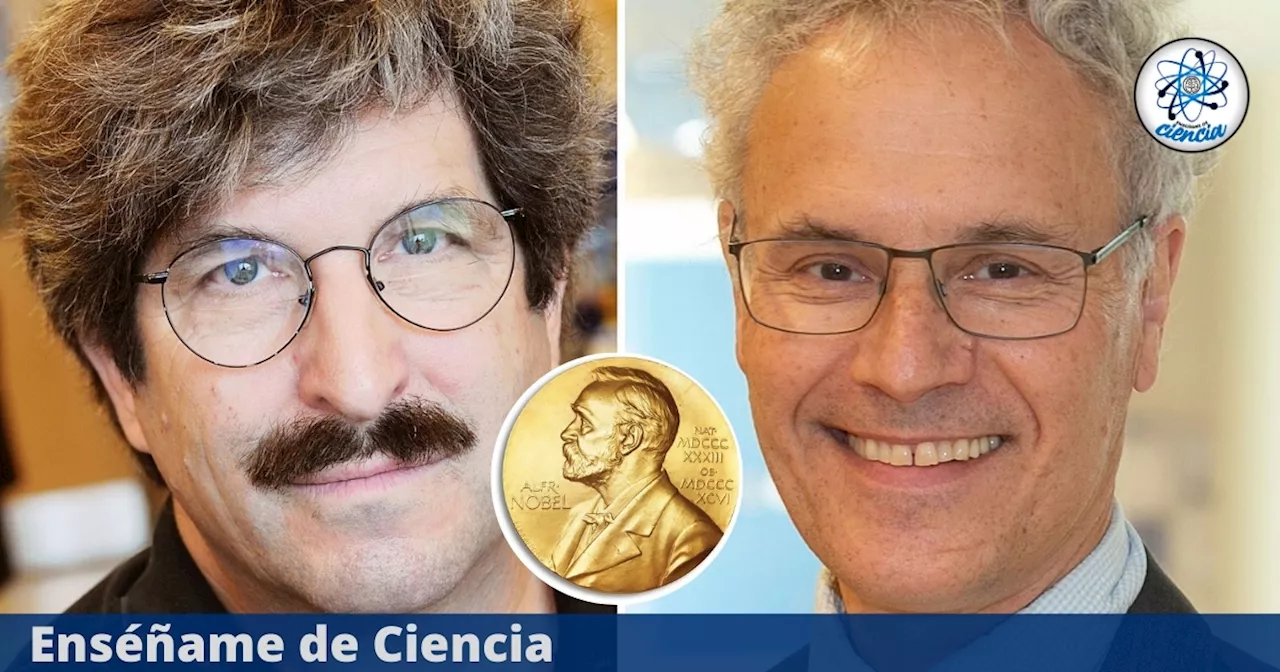 Revolución Genética: Victor Ambros y Gary Ruvkun ganan el Nobel de Medicina 2024, descubrimiento del microARN