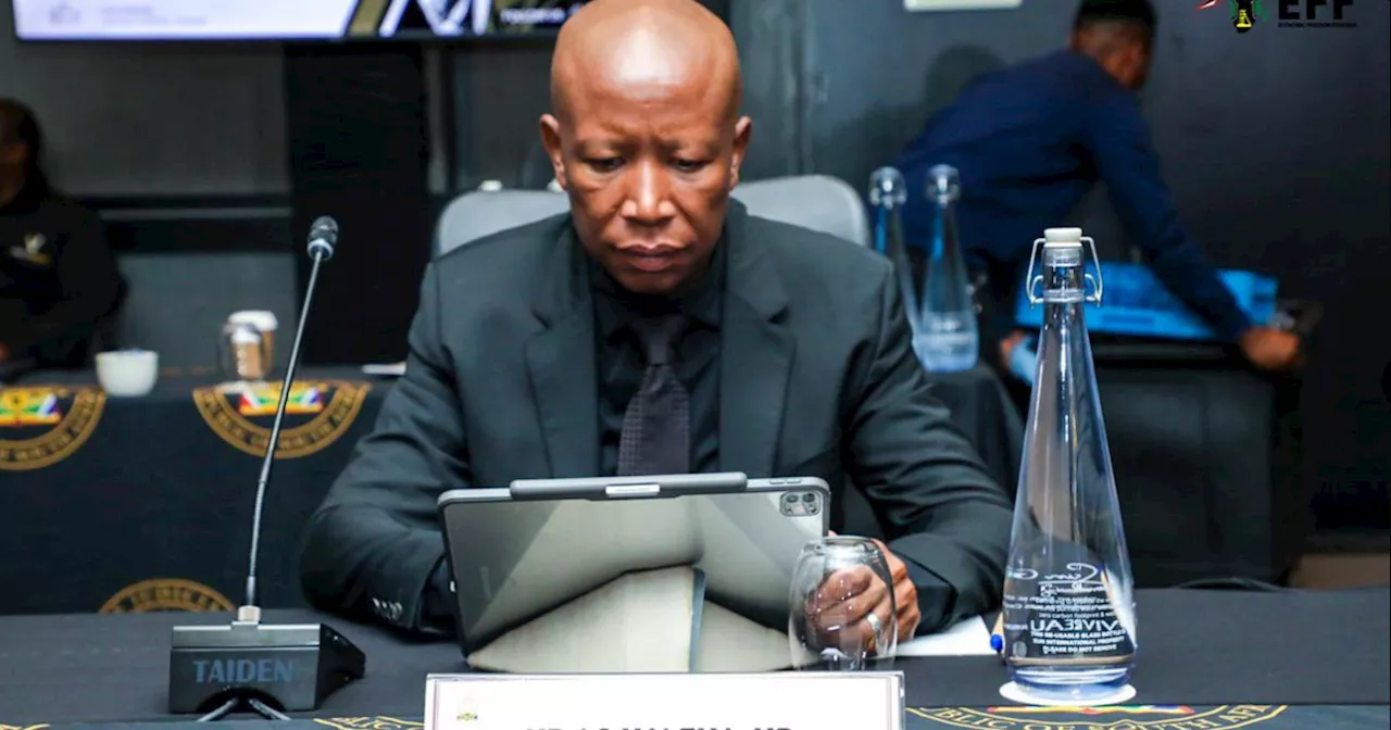 Malema accuses EC High Court Judge candidate of being complacent in his preparation