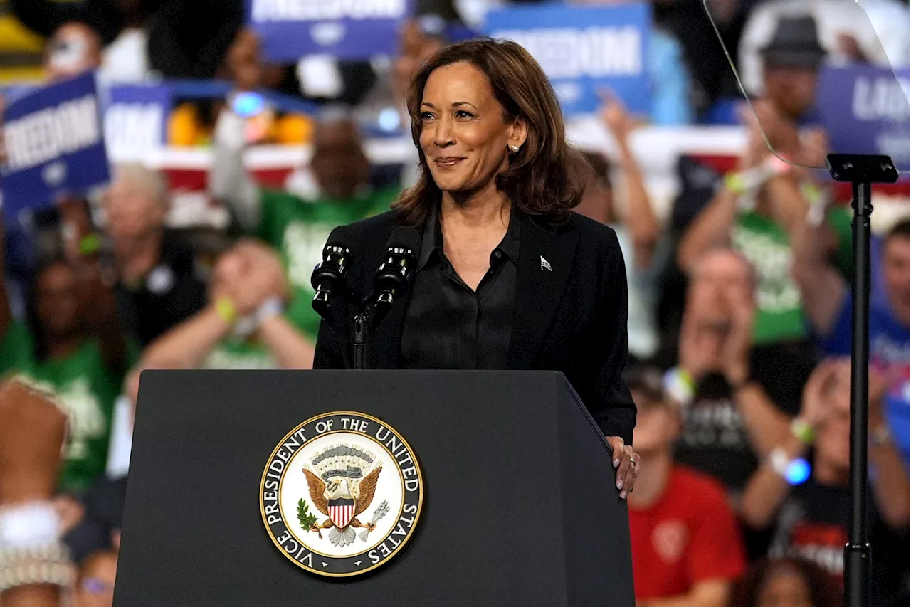 Kamala Harris' 'joy' is quietly turning to panic for Democrats