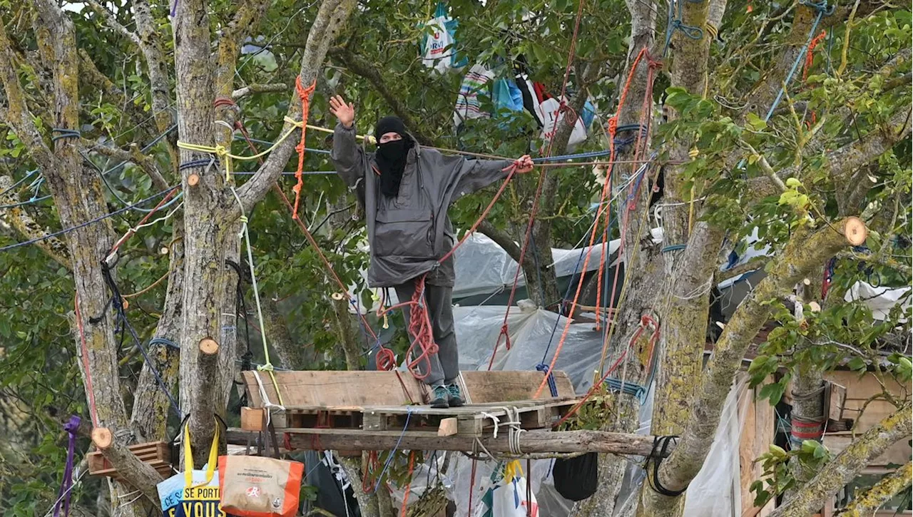 Huit écureuils humains grimpent dans les arbres pour sauver la nature