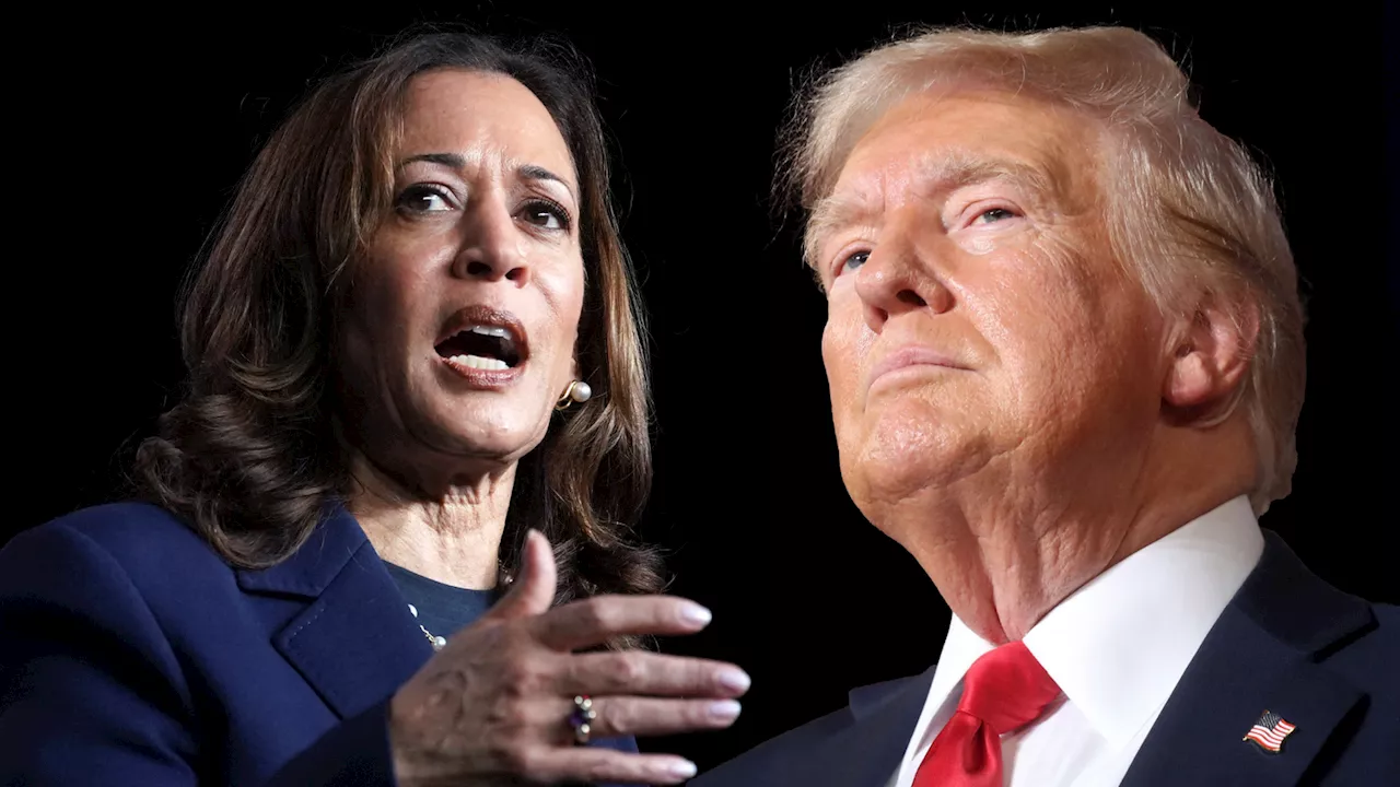 Umfrage-Knall: Kamala Harris erstmals vor Donald Trump