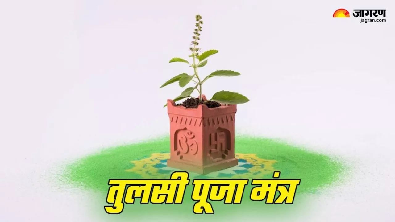 Tulsi Puja: तुलसी पूजा में करें इन मंत्रों का जप, माता लक्ष्मी की कृपा से भरे रहेंगे आपके धन भंडार