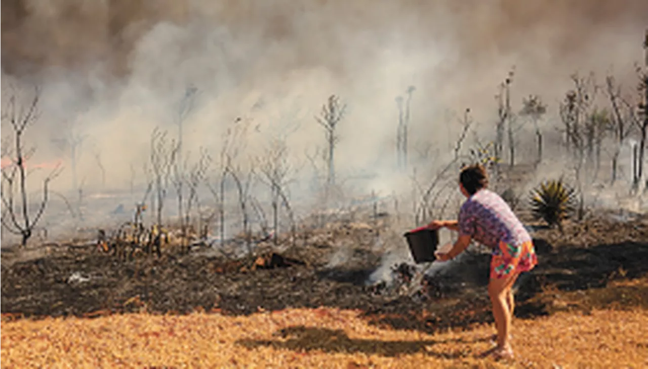 O que você precisa saber sobre saúde e as mudanças do clima