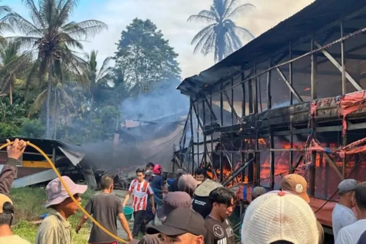 Kebakaran Kandang Ternak di Kolaka, 8 Ribu Ayam Mati Terpanggang