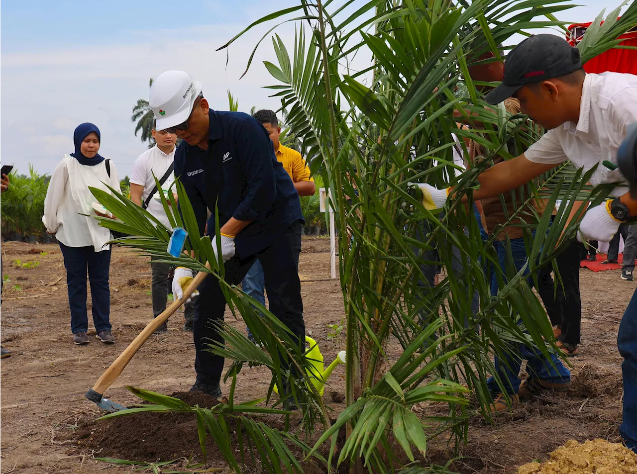 PTPN IV PalmCo Targetkan 2,1 Juta Bibit Unggul Diserap Petani Sawit