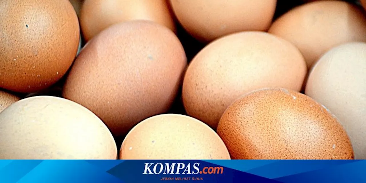 10 Manfaat Telur untuk Kesehatan, Jaga Kesehatan Jantung