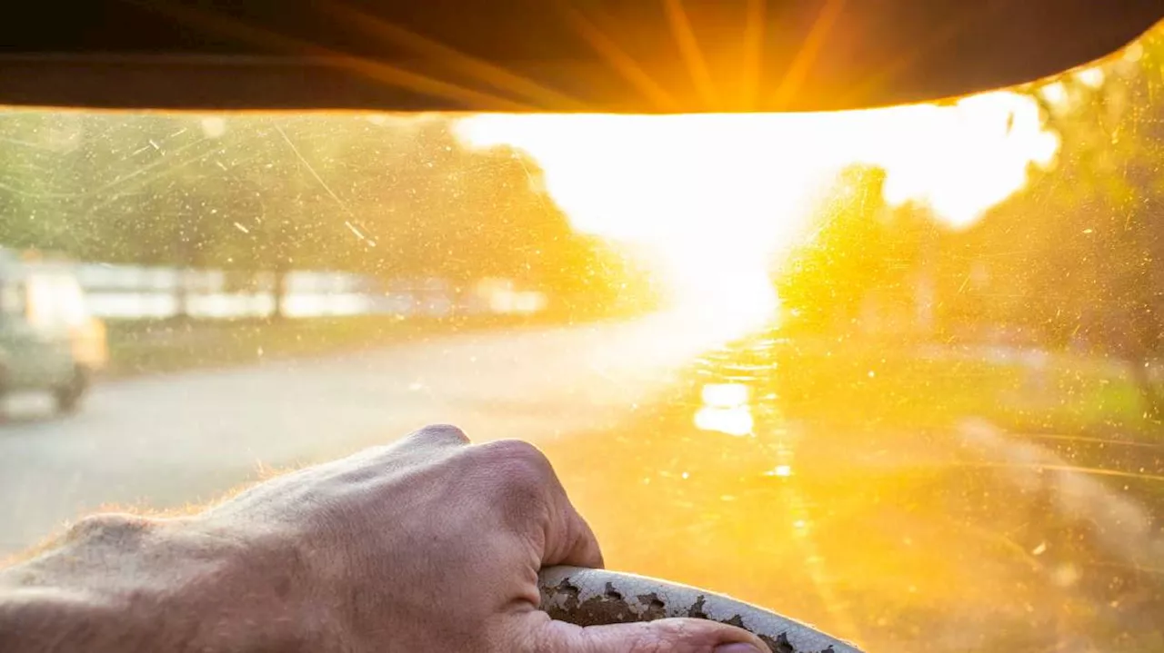 School crossing guard knocked down by motorist blinded by sun