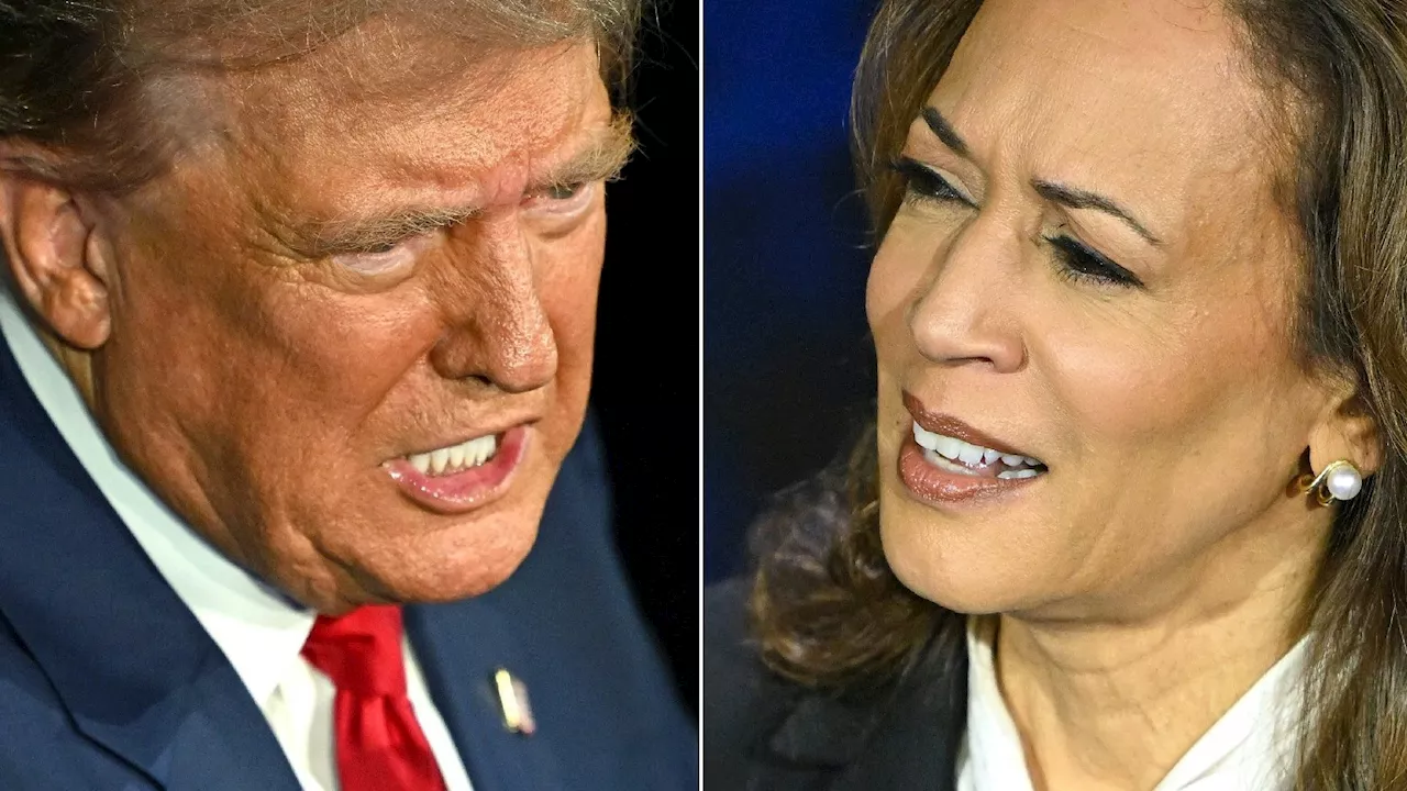 Présidentielle américaine : Harris devance Trump dans un sondage du New York Times