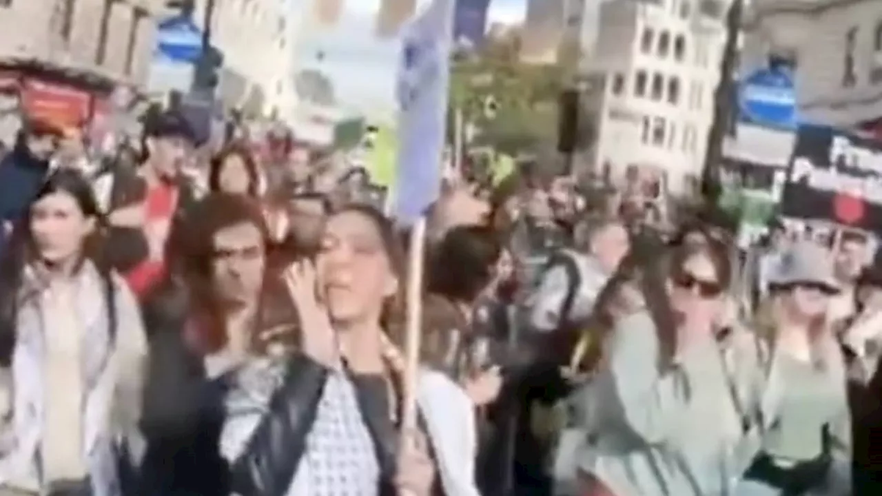 Woman appears to shout 'we love Hamas' in London Middle East protest