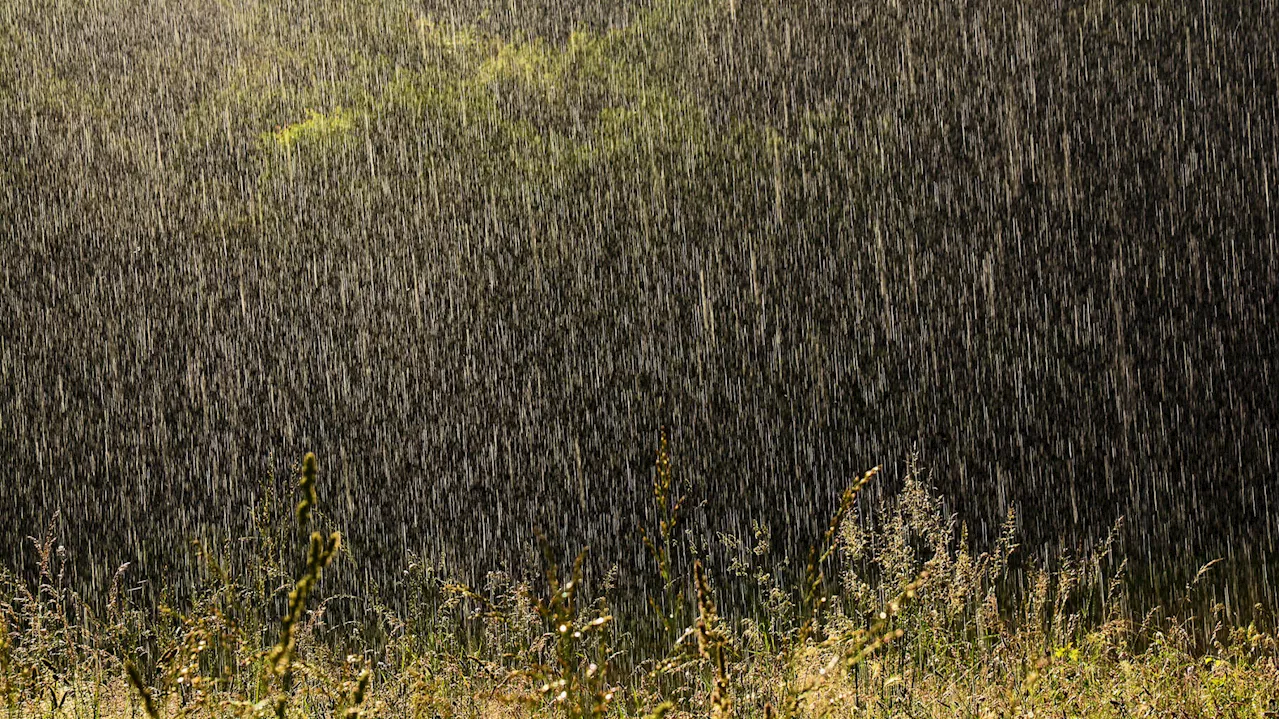 Météo du mercredi 9 octobre : les restes de l’ouragan Kirk promettent une journée dantesque