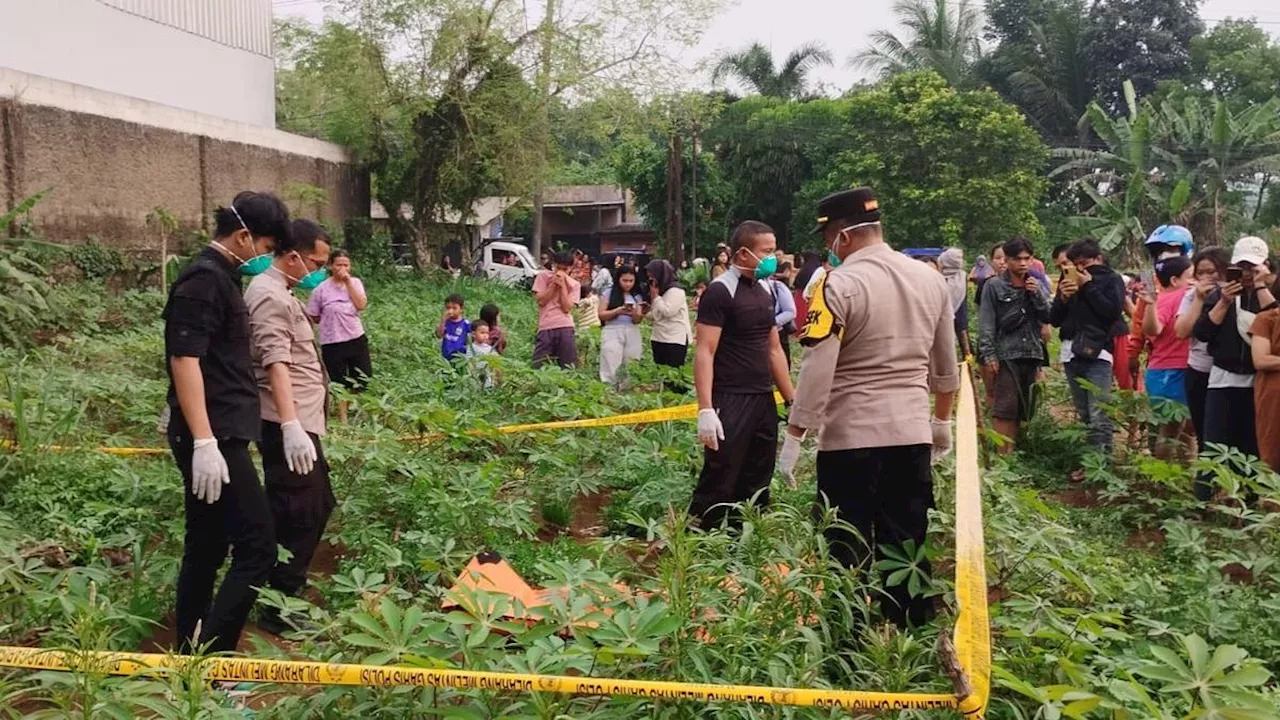 Mayat Wanita Tanpa Busana Ditemukan di Kebun Singkong Bogor