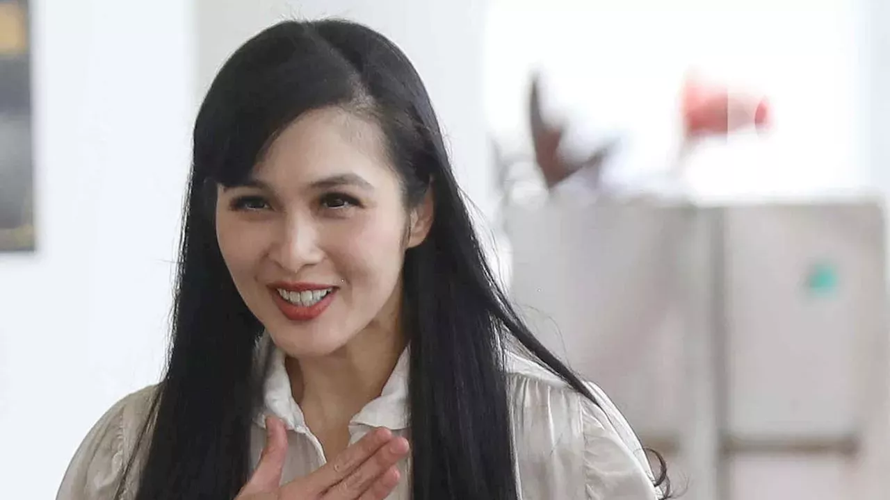 Sandra Dewi Akan Jadi Saksi Di Sidang Korupsi Timah Harvey Moeis 10 ...