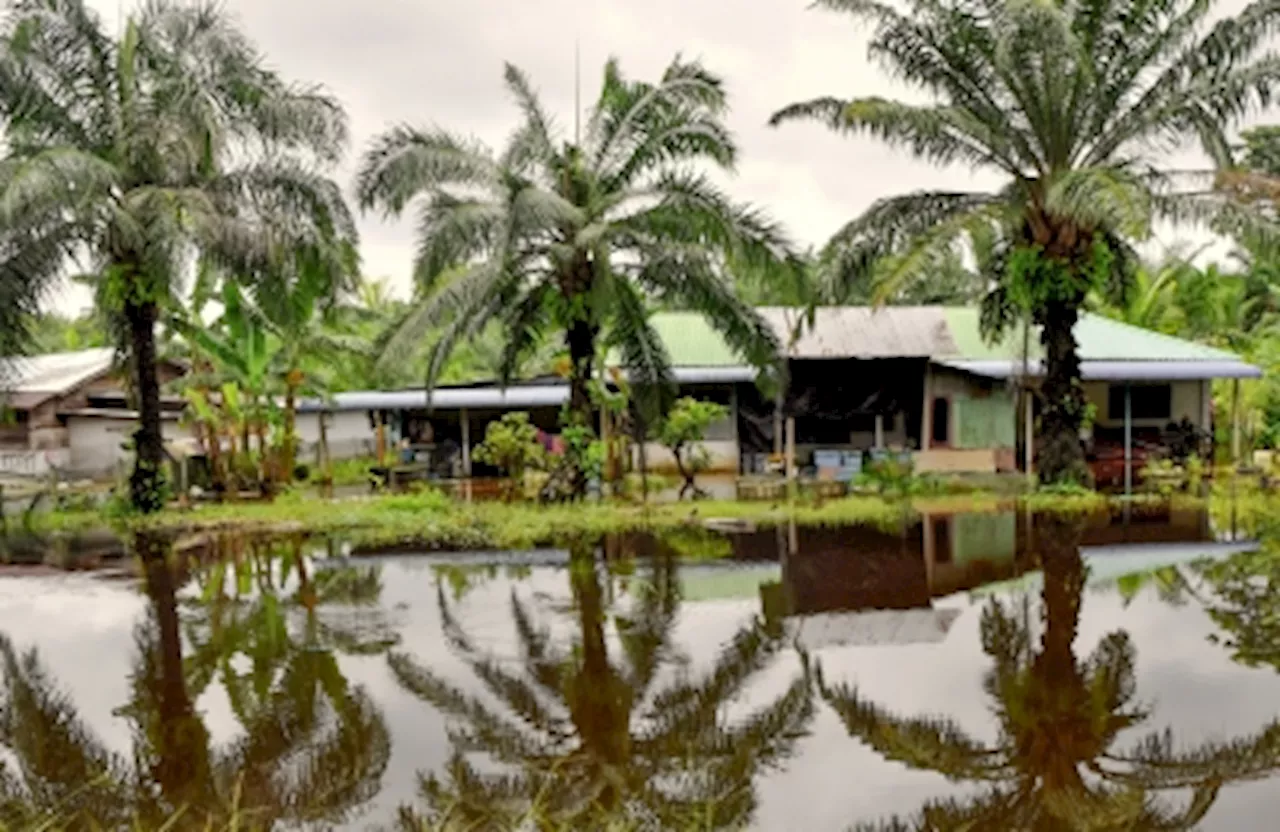 Flood update: Kedah’s evacuee count climbs to 439, Johor reports 601 displaced residents