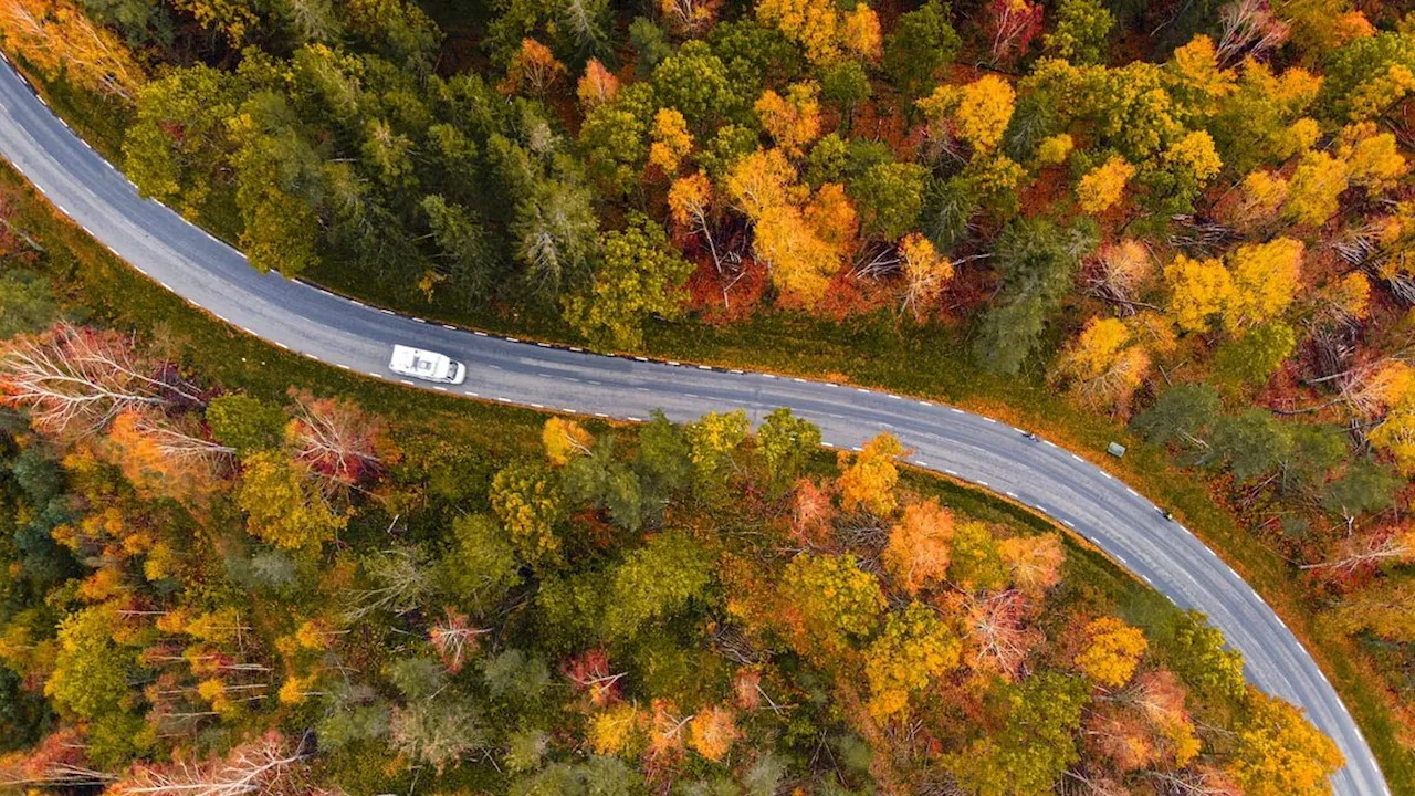 Camper: cinque proposte per immergersi nei colori dell’autunno