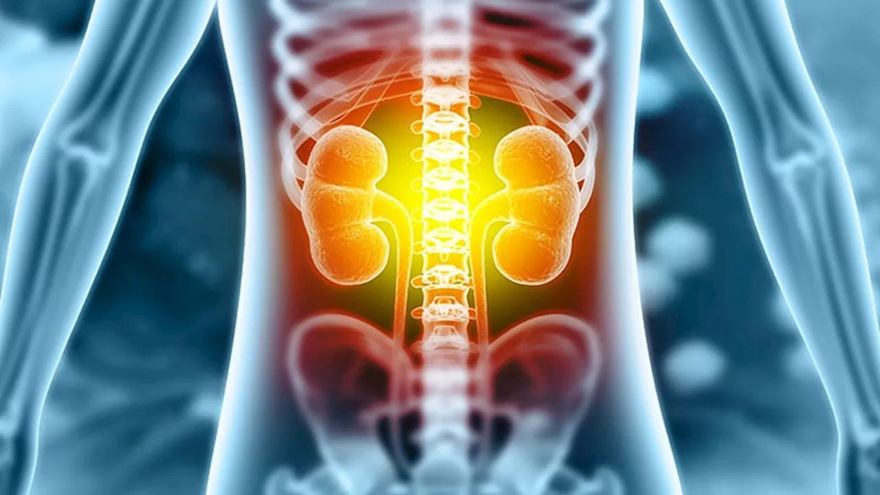 Nephrologists Urge Active Search for Chronic Kidney Disease