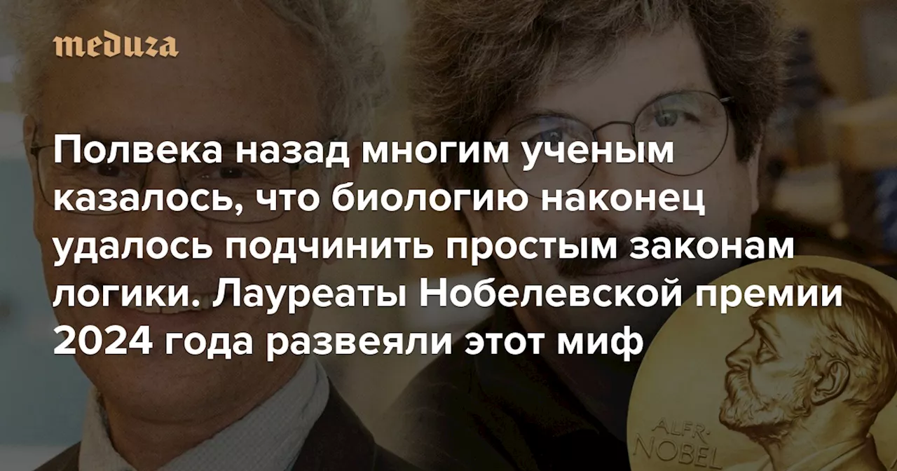 Полвека назад многим ученым казалось, что биологию наконец удалось подчинить простым законам логики. Лауреаты Нобелевской премии 2024 года развеяли этот миф Червяк, утки и другие вехи на пути важного открытия — Meduza