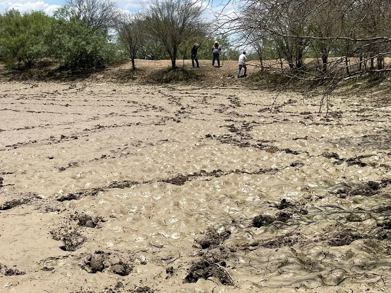 Baja intensidad de sequía en Coahuila, pero situación de Durango aún es crítica: Monitor