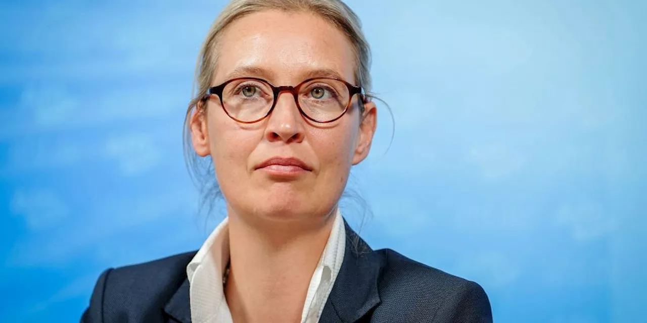 AfD-Chefin: Möglicher Verbotsantrag zum Scheitern verurteilt