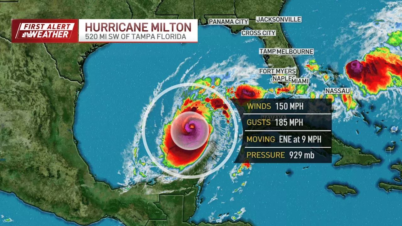 Hurricane Milton live tracker Timeline, latest updates as storm nears