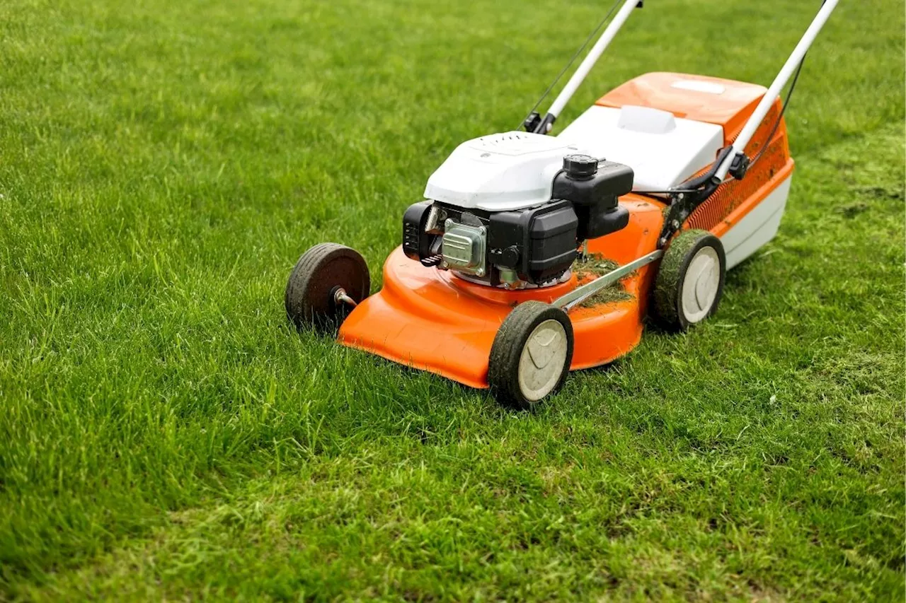 This is when to mow your lawn one last time before winter, say experts