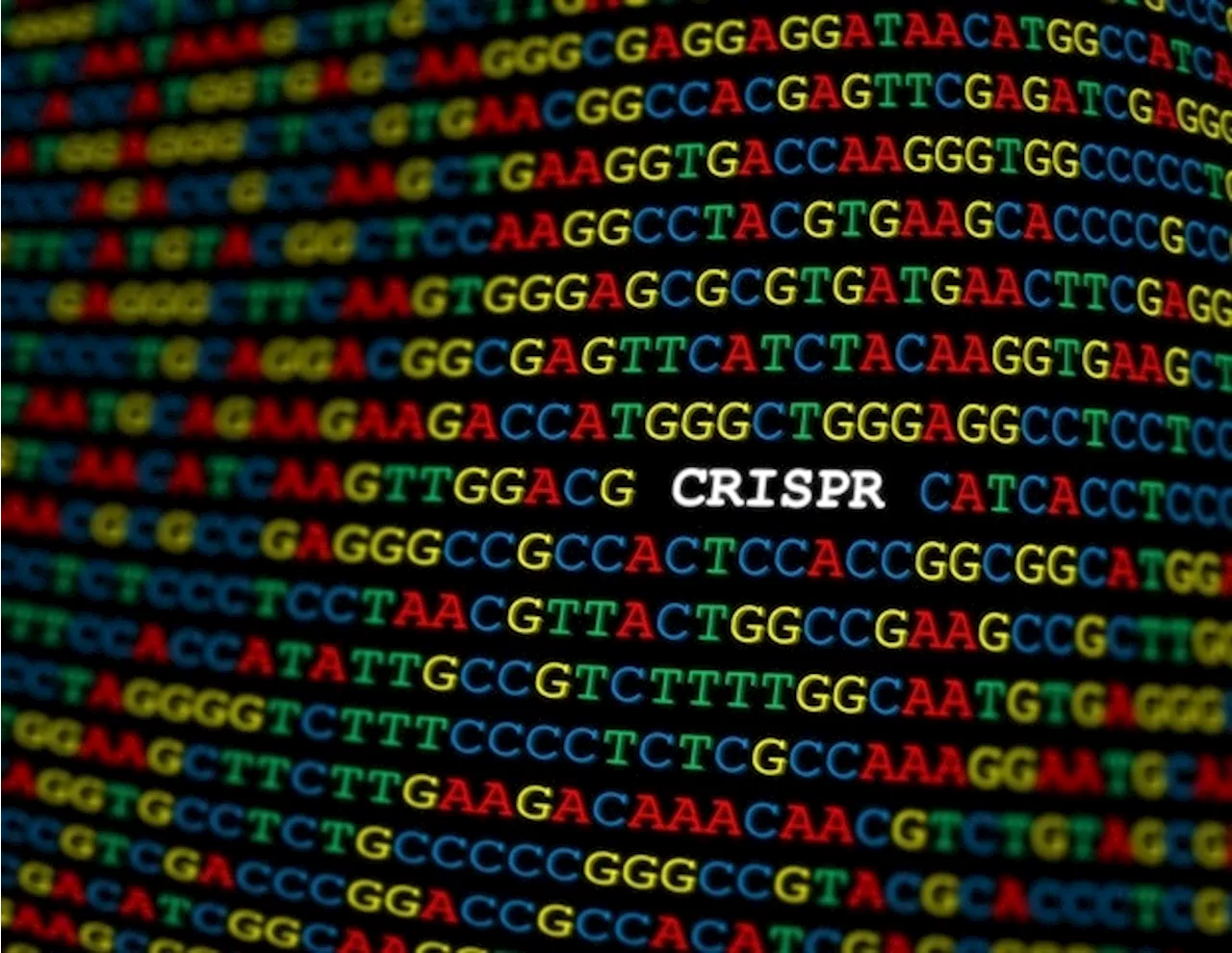 Overcoming CRISPR's side effects for therapeutic applications