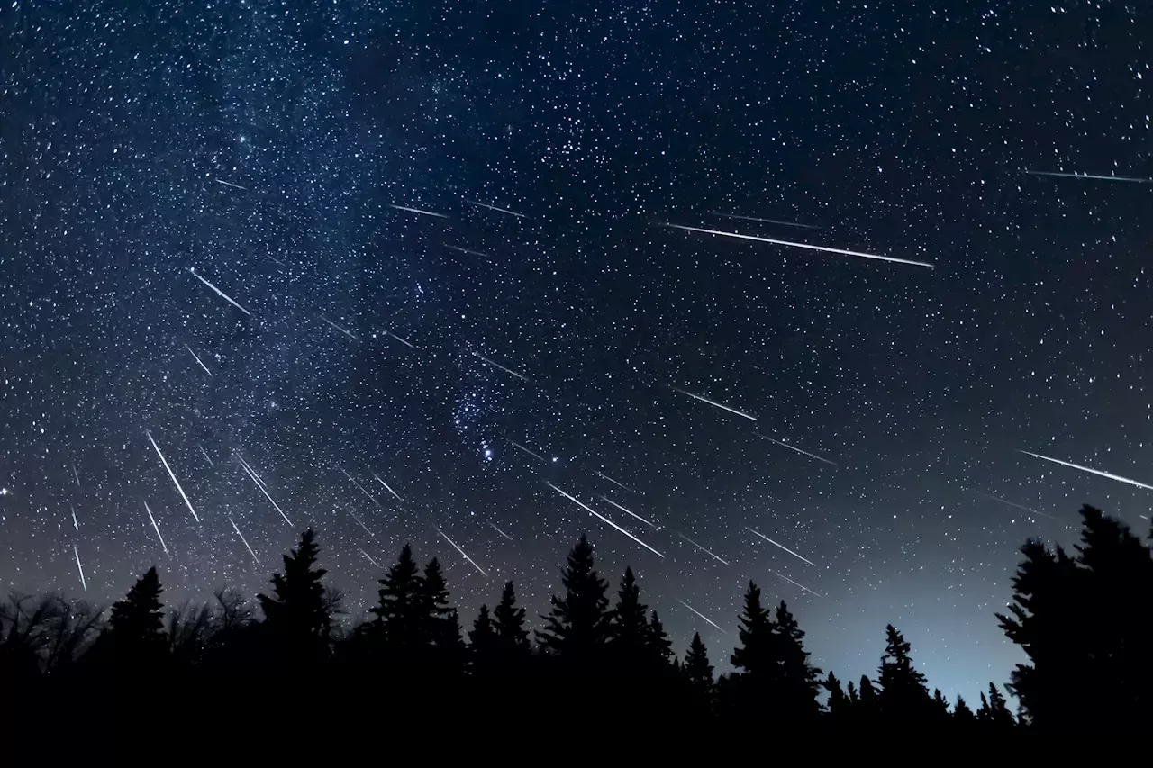 Draconid Meteor Shower Where and When to Watch in the US United States