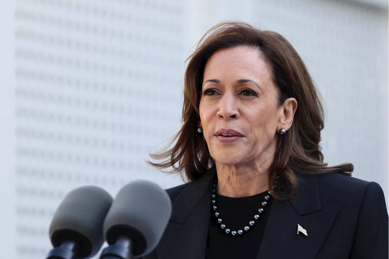 Kamala Harris' Support Among Republicans Almost Doubles: NYT-Siena Poll