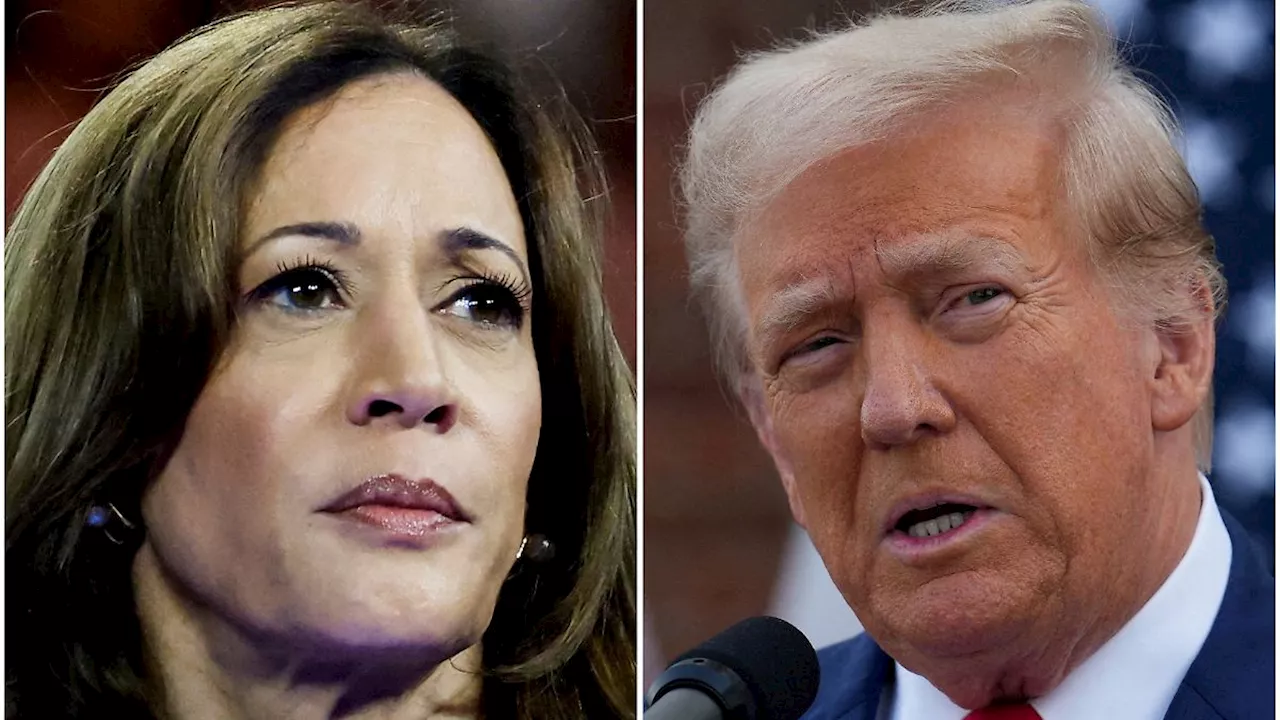 Das sind die Wege zum Sieg für Kamala Harris und Donald Trump