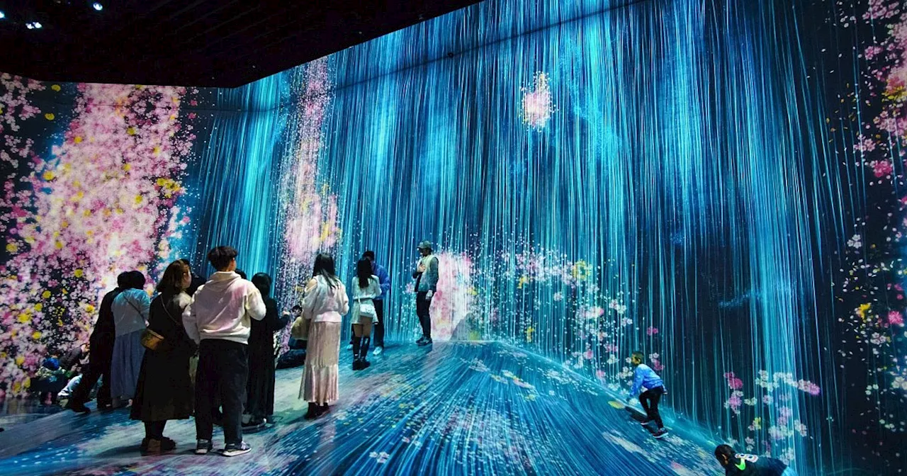 teamLab bringt digitale Kunst nach Hamburg