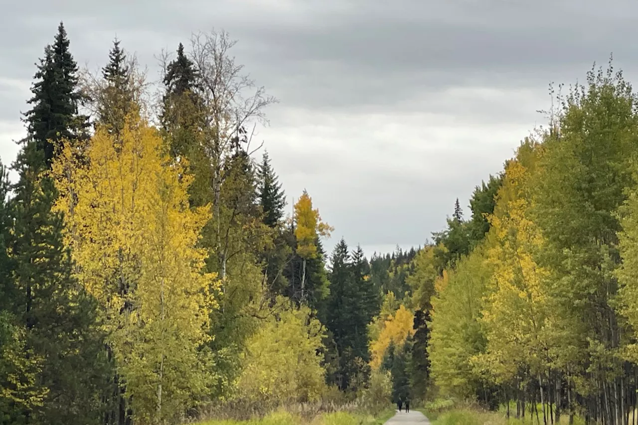 Environmental group hosting all-candidates forum in Prince George