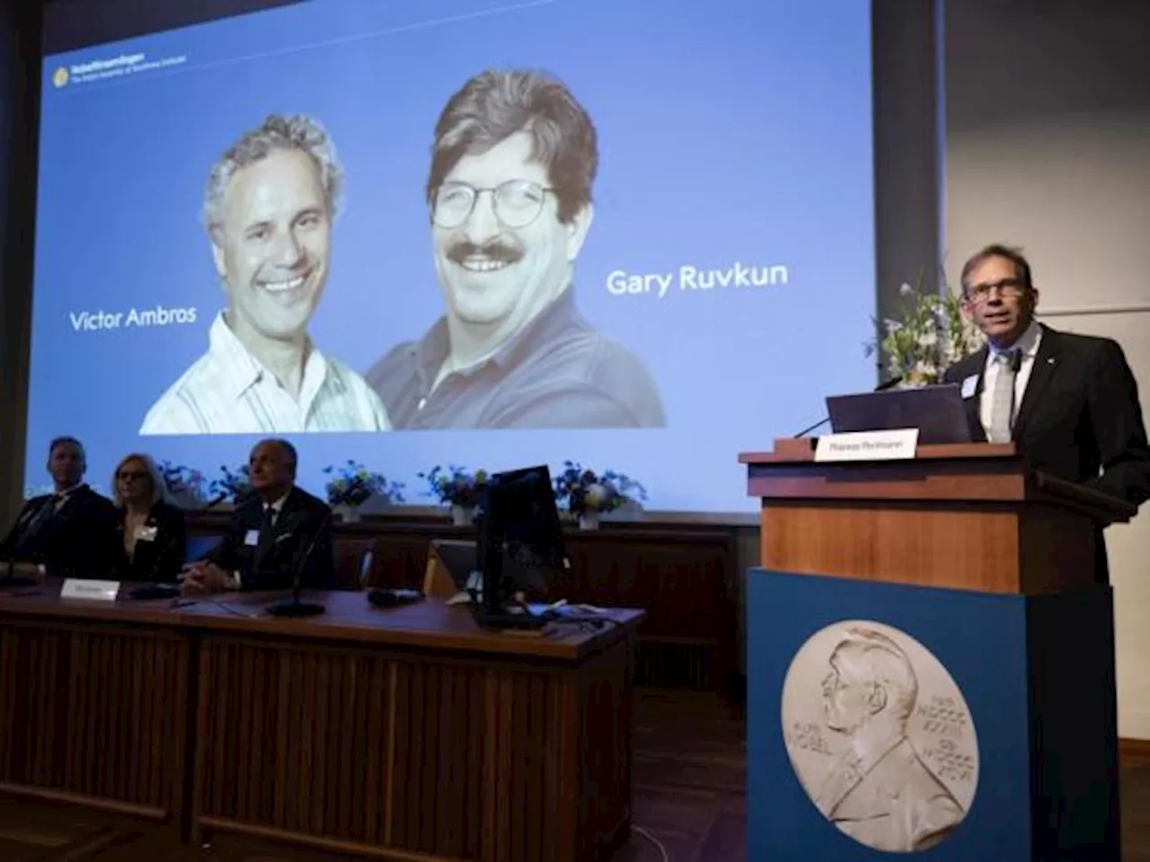 Premio Nobel de Medicina para Ambros y Ruvkun por el hallazgo del microRNA